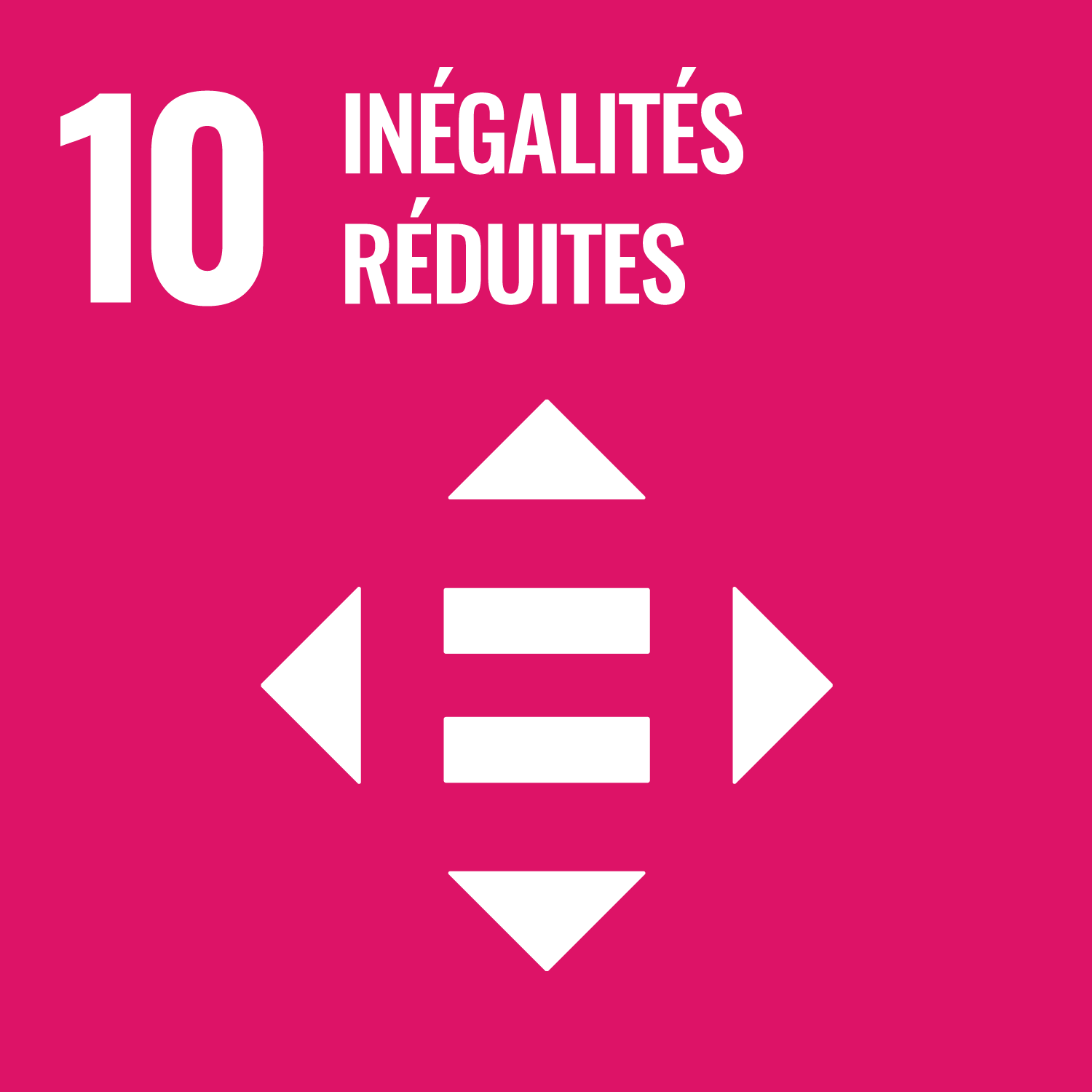 Goal 10
