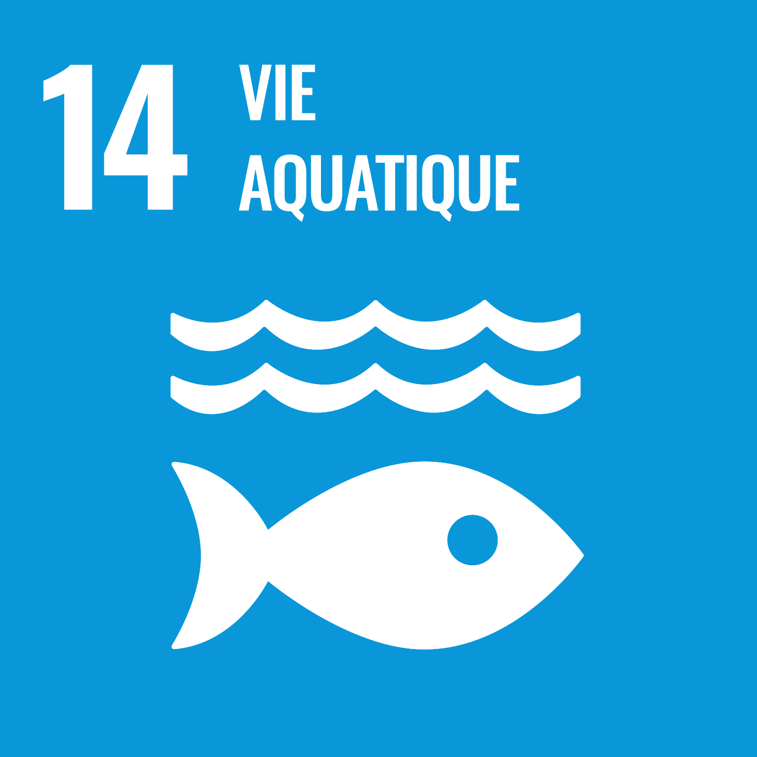 Goal 14